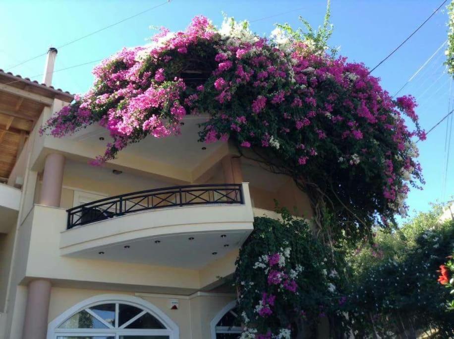 Lenico Beachfront Suites Agia Pelagia  Ngoại thất bức ảnh