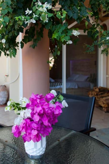 Lenico Beachfront Suites Agia Pelagia  Ngoại thất bức ảnh