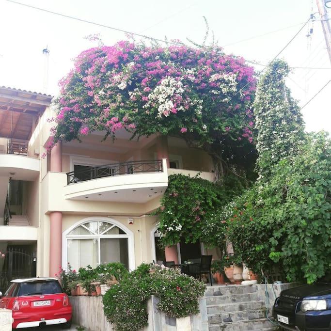 Lenico Beachfront Suites Agia Pelagia  Ngoại thất bức ảnh