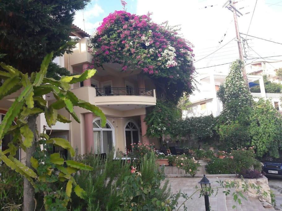 Lenico Beachfront Suites Agia Pelagia  Ngoại thất bức ảnh